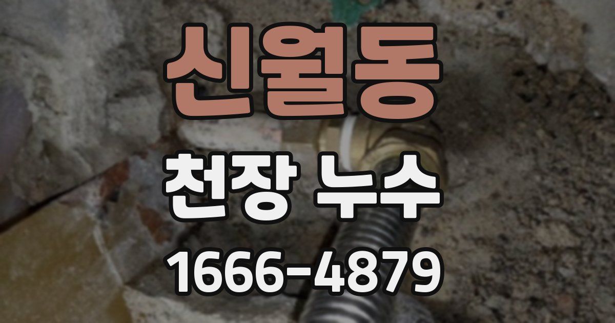 신월동 천장 누수