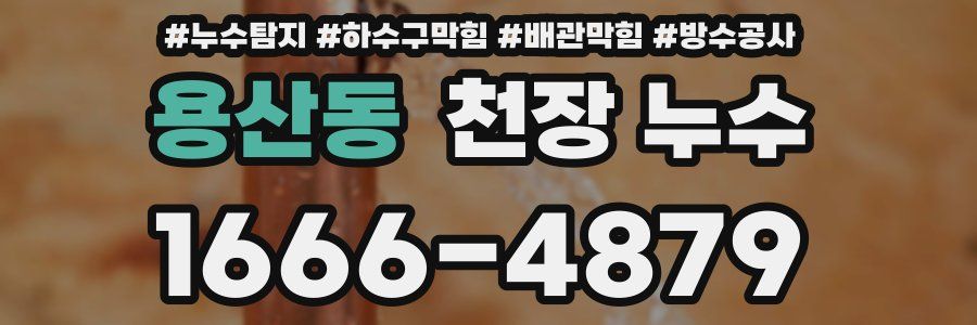 용산동 천장 누수