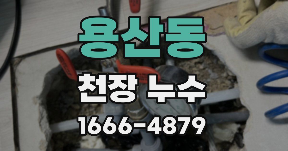 용산동 천장 누수