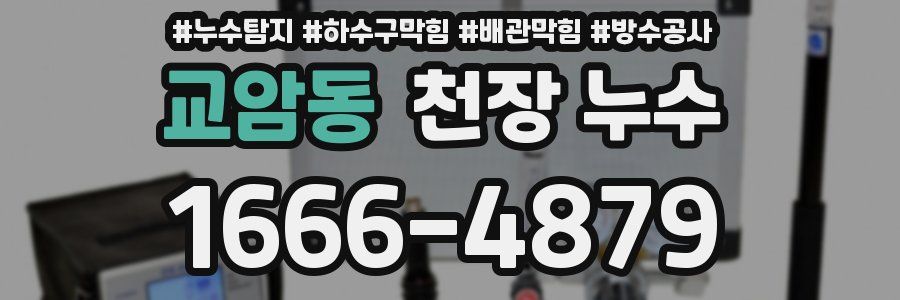교암동 천장 누수