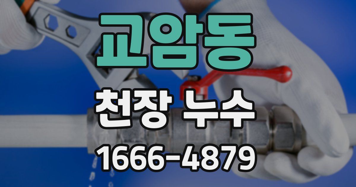 교암동 천장 누수