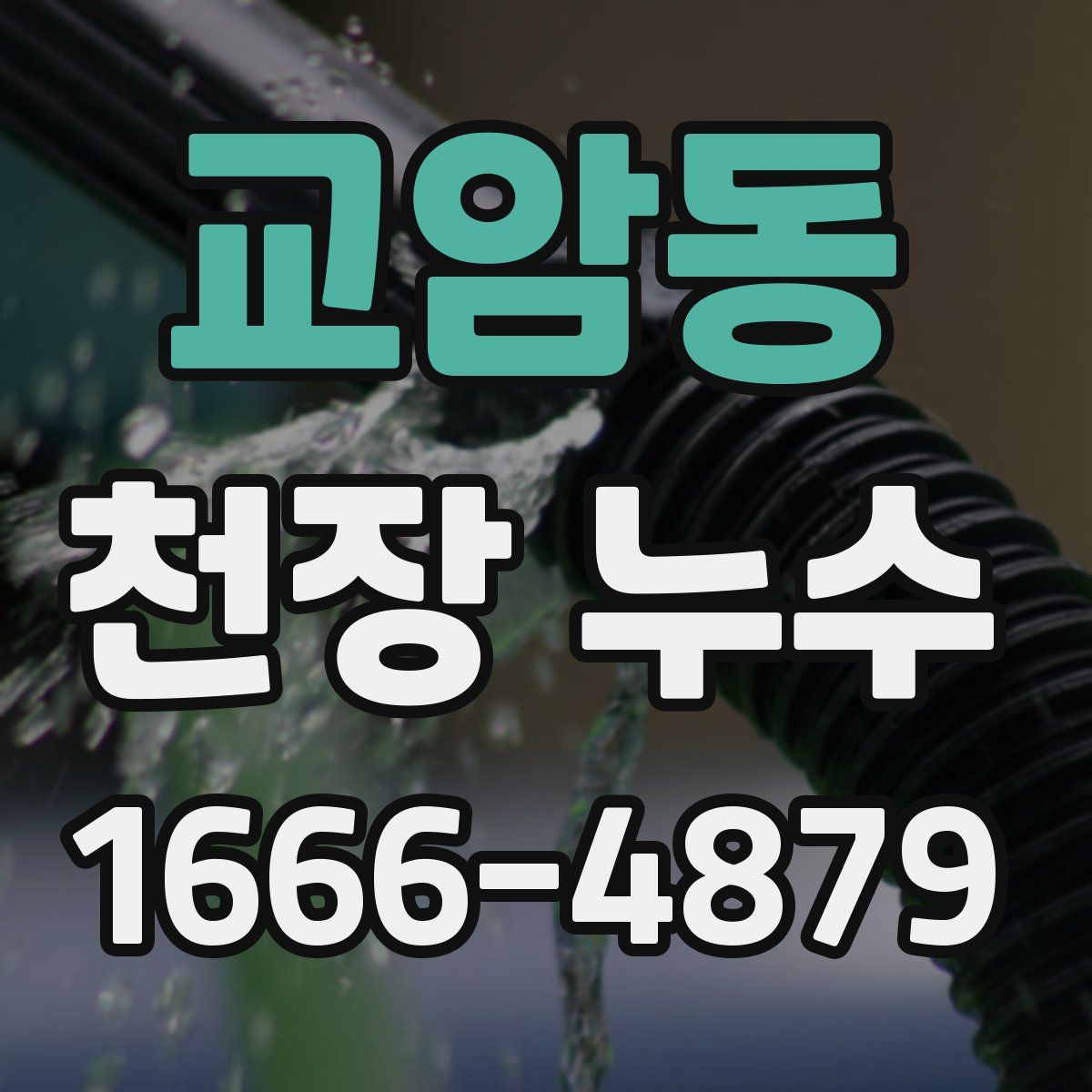 교암동 천장 누수