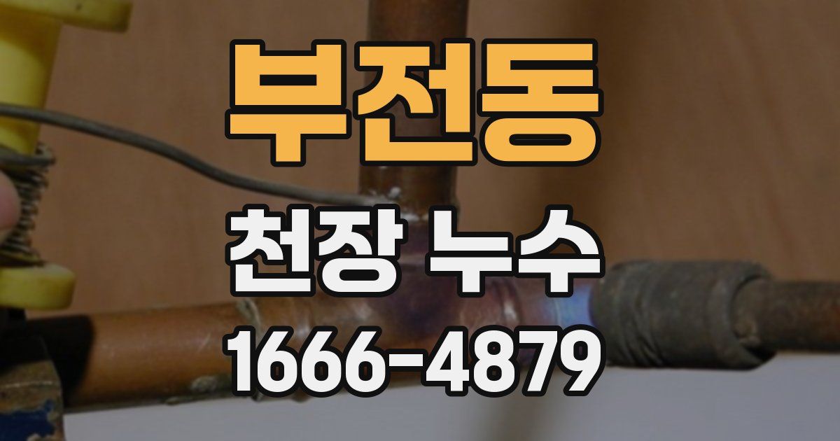 부전동 천장 누수