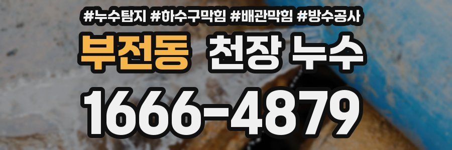 부전동 천장 누수