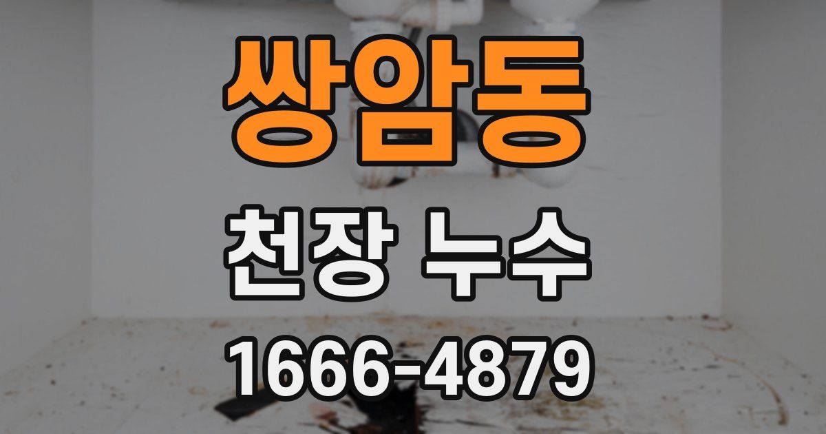 쌍암동 천장 누수