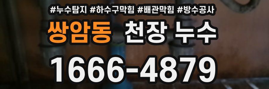 쌍암동 천장 누수