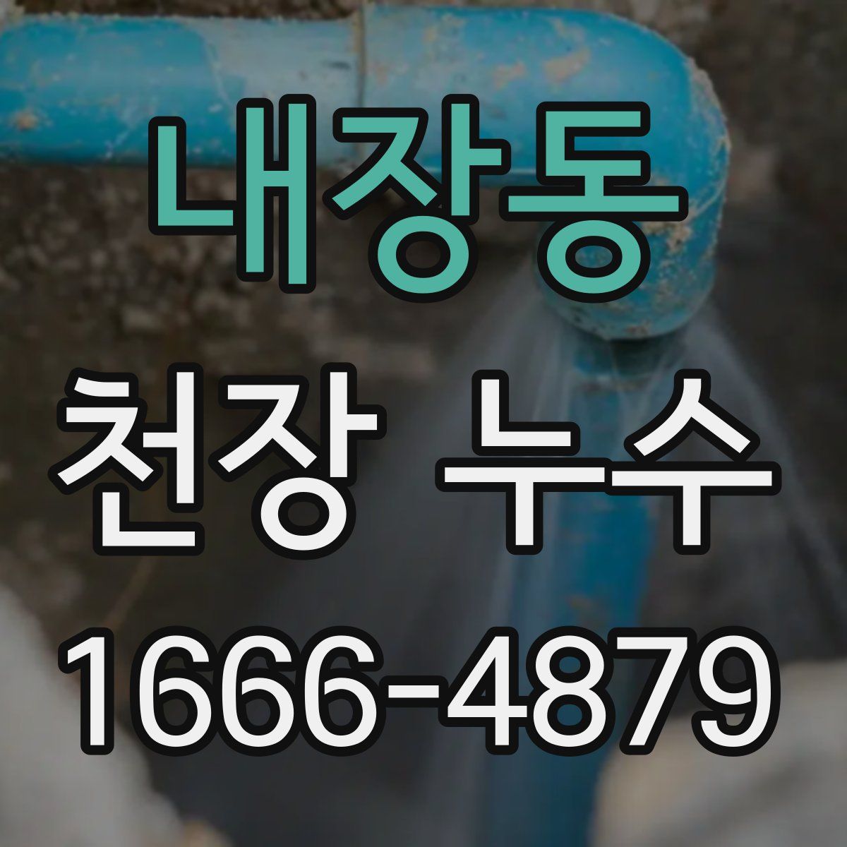 내장동 천장 누수