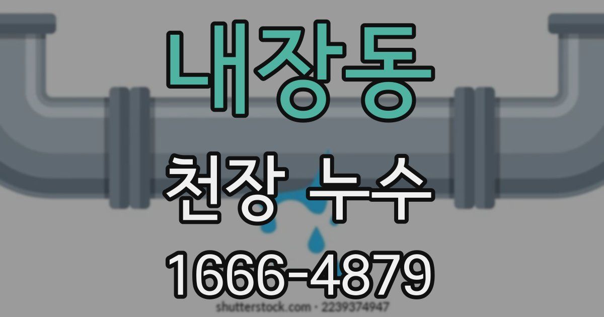 내장동 천장 누수