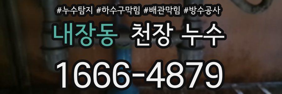 내장동 천장 누수