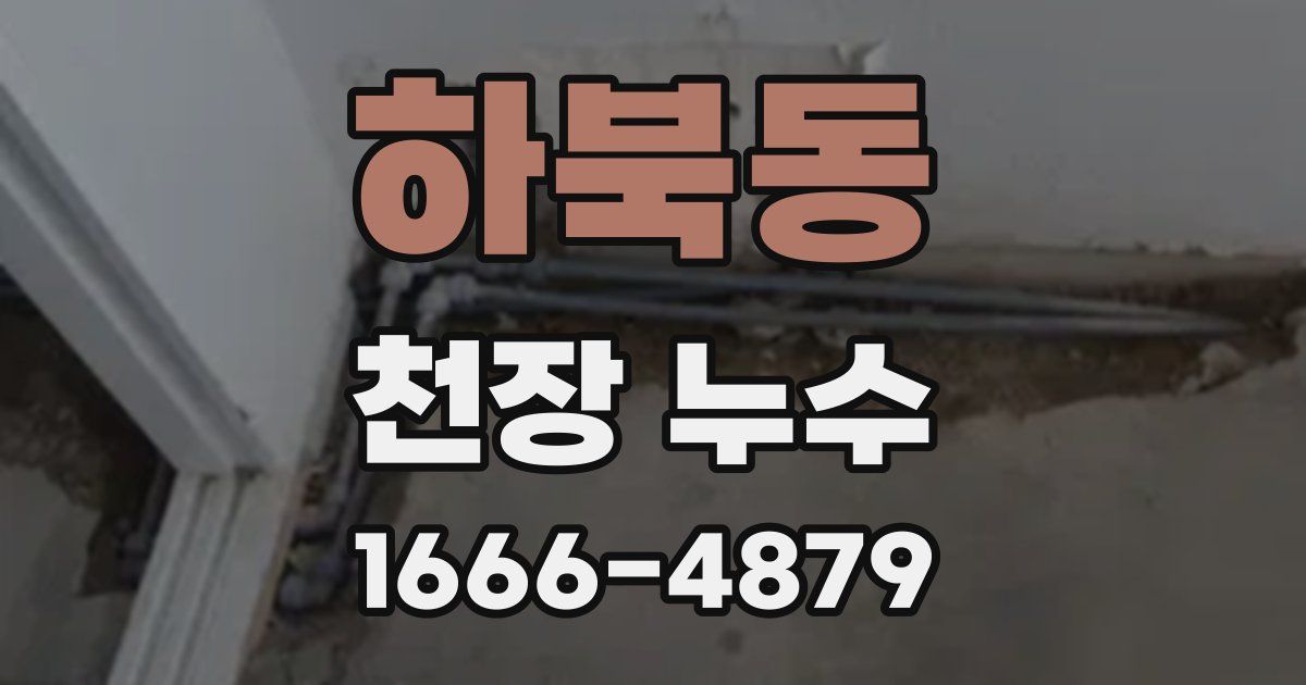 하북동 천장 누수
