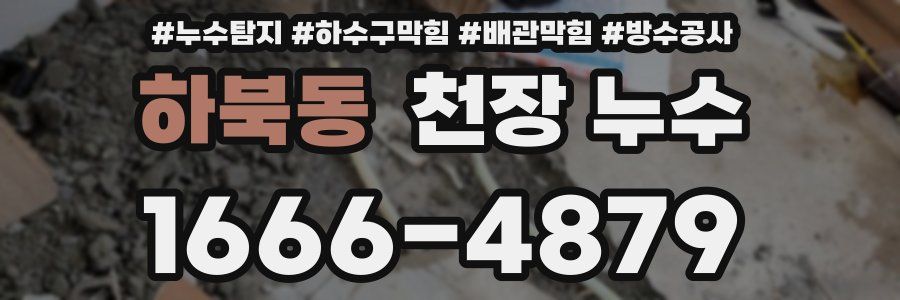 하북동 천장 누수