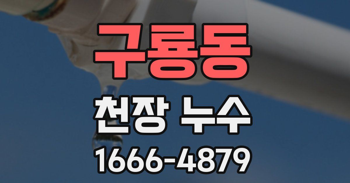 구룡동 천장 누수