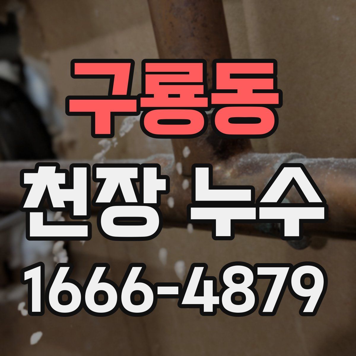 구룡동 천장 누수