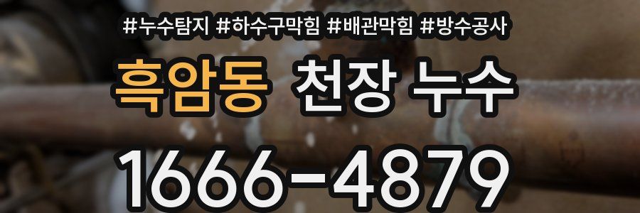 흑암동 천장 누수