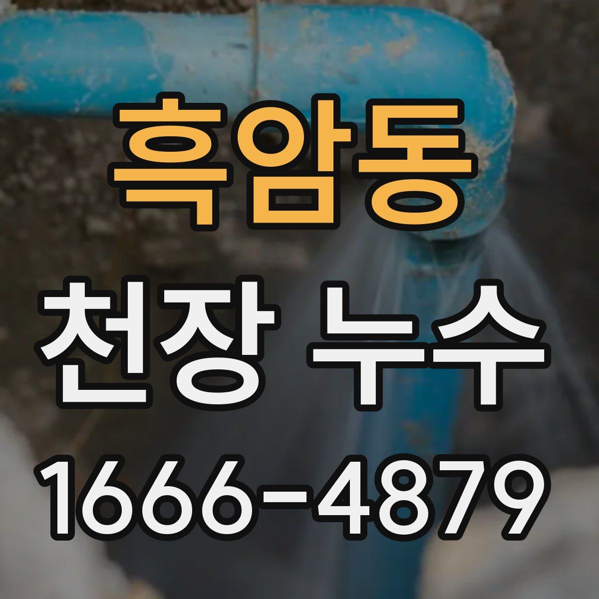 흑암동 천장 누수