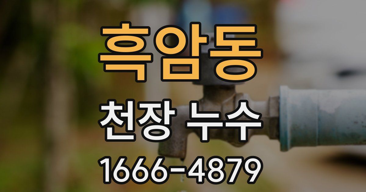 흑암동 천장 누수