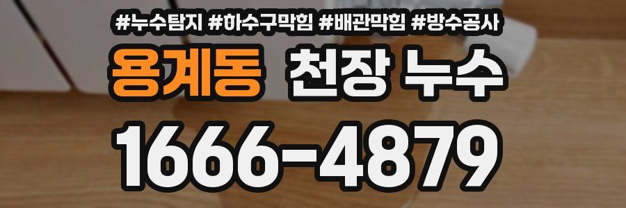 용계동 천장 누수
