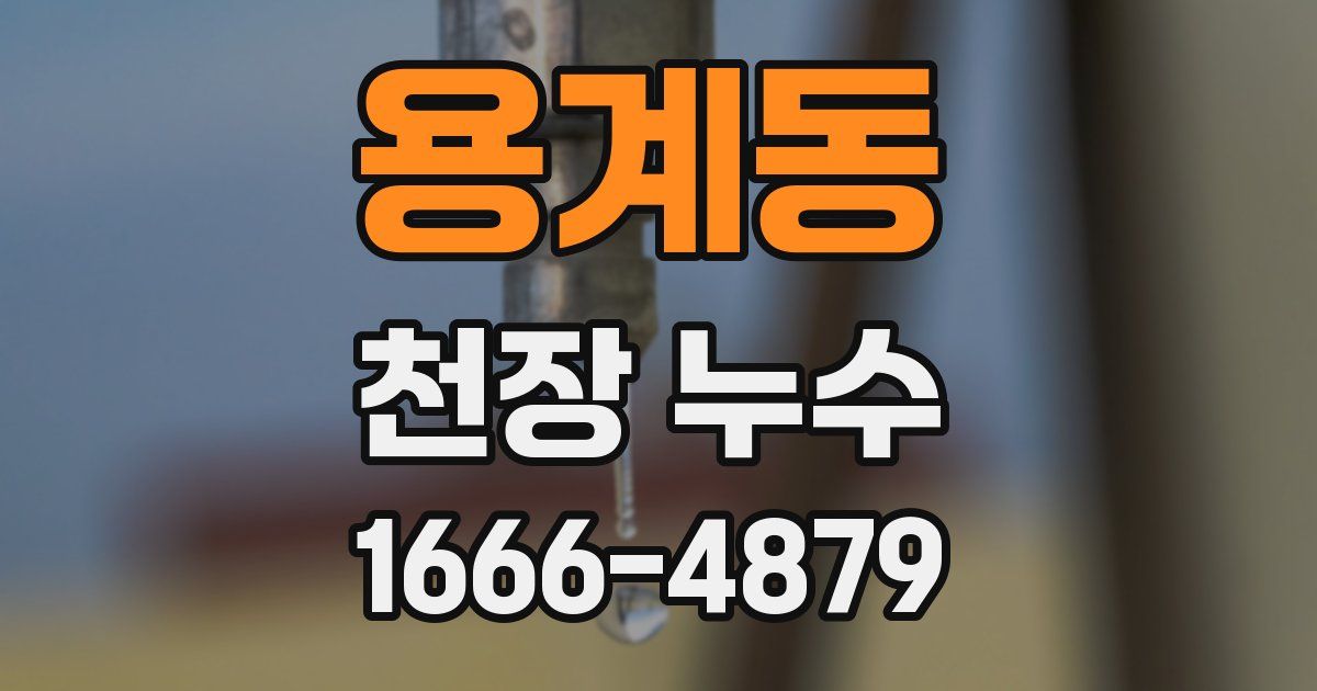 용계동 천장 누수