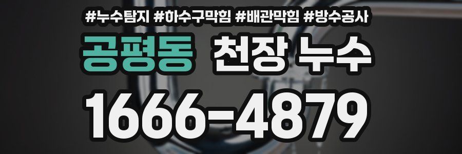 공평동 천장 누수