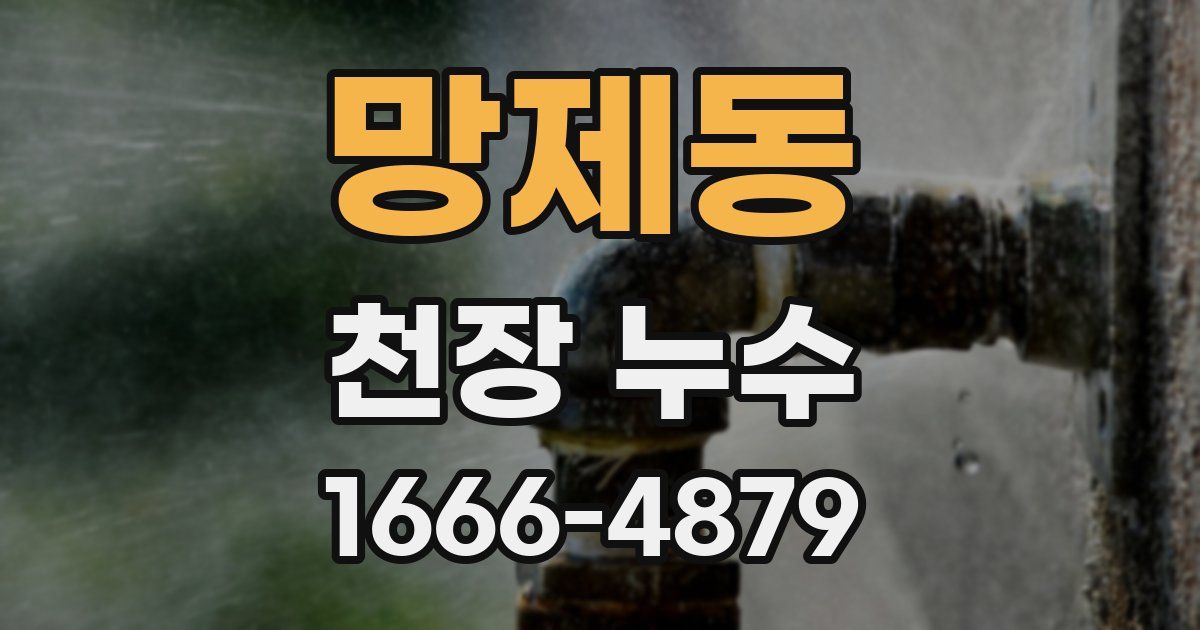 망제동 천장 누수