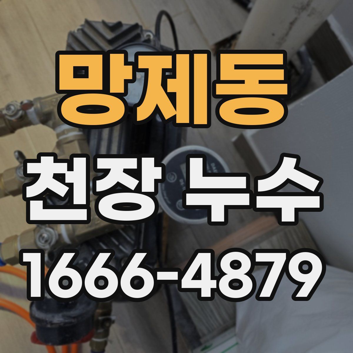 망제동 천장 누수