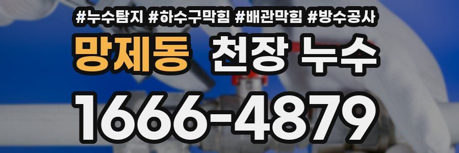 망제동 천장 누수