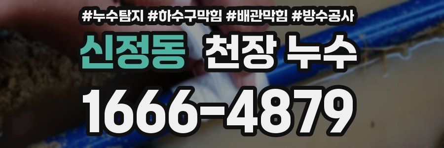 신정동 천장 누수