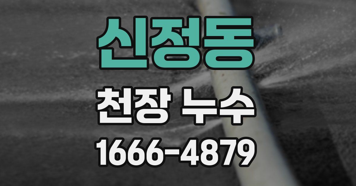 신정동 천장 누수