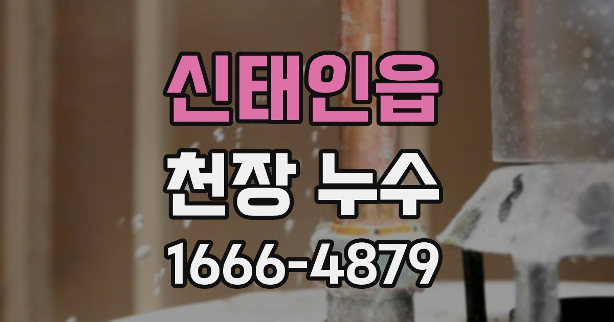 신태인읍 천장 누수