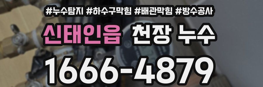신태인읍 천장 누수