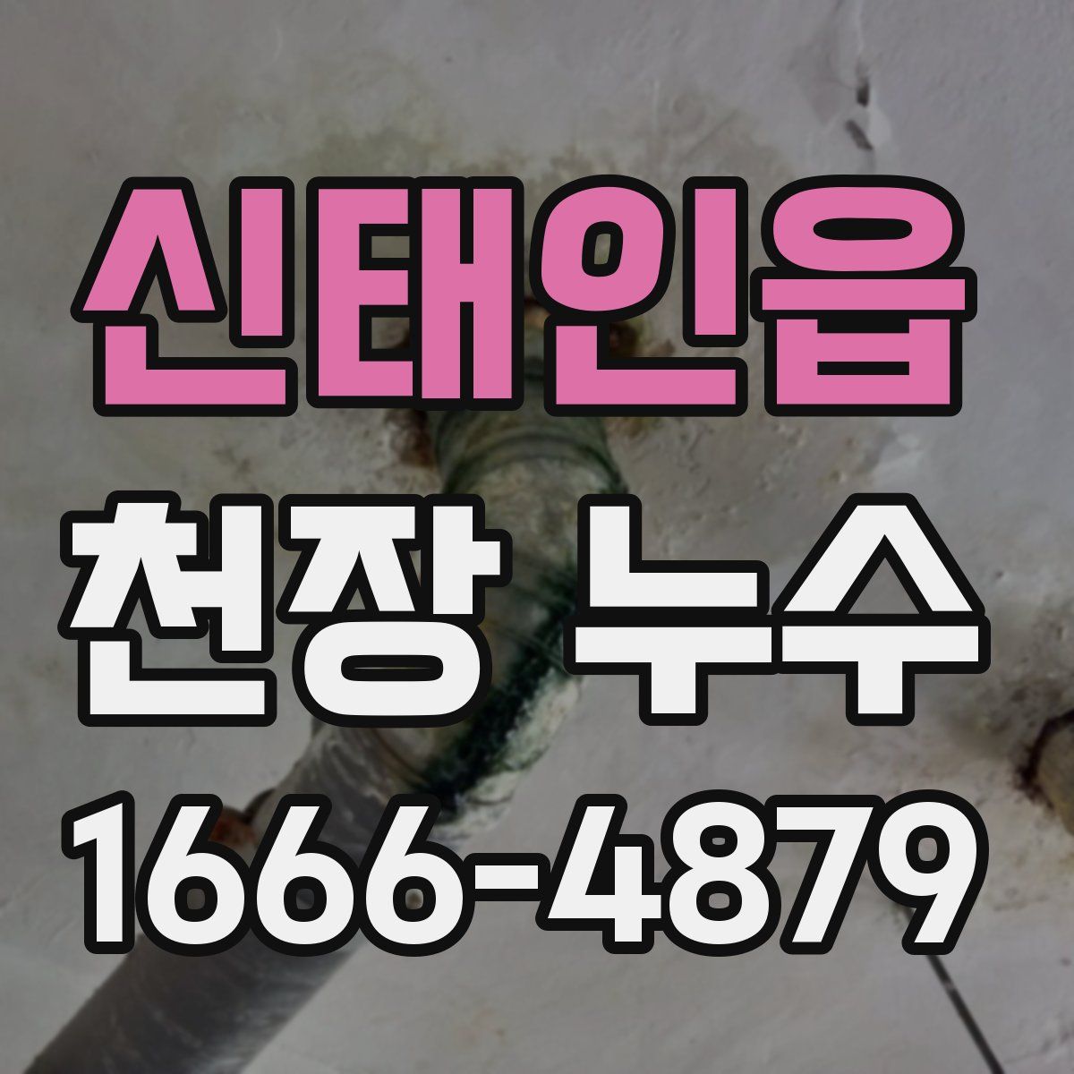 신태인읍 천장 누수