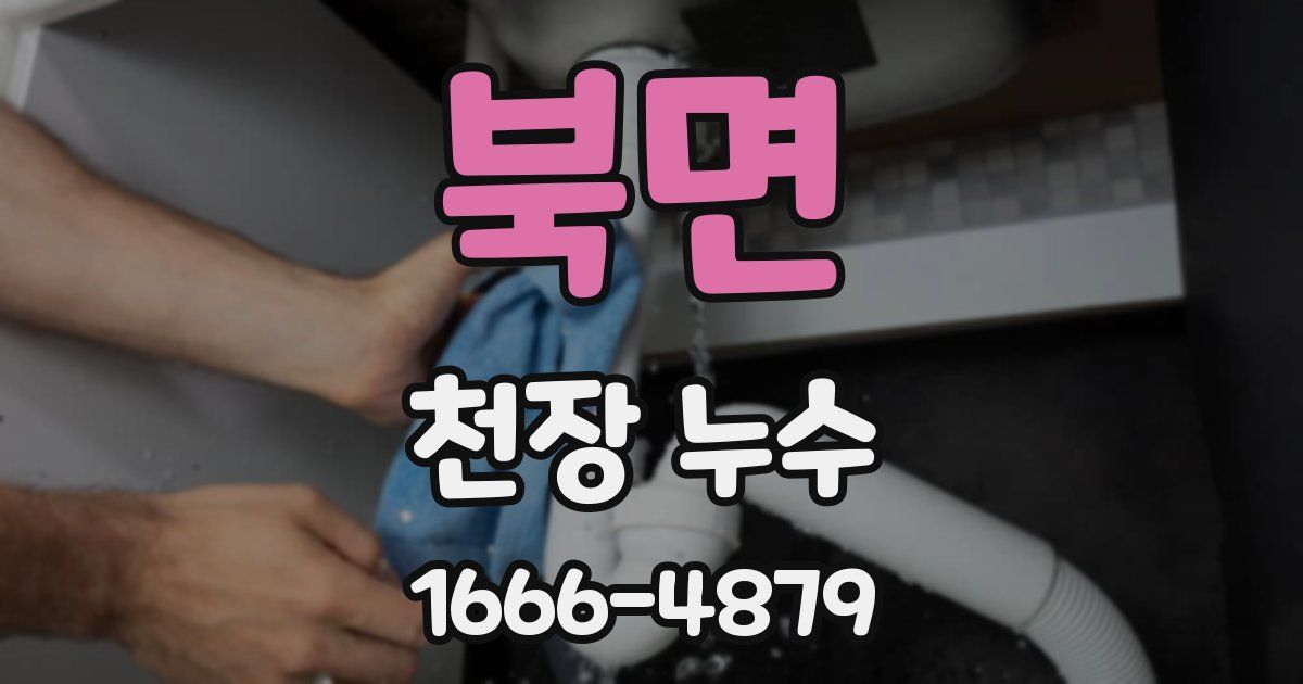 북면 천장 누수