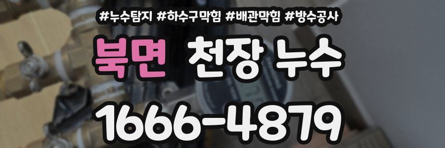 북면 천장 누수