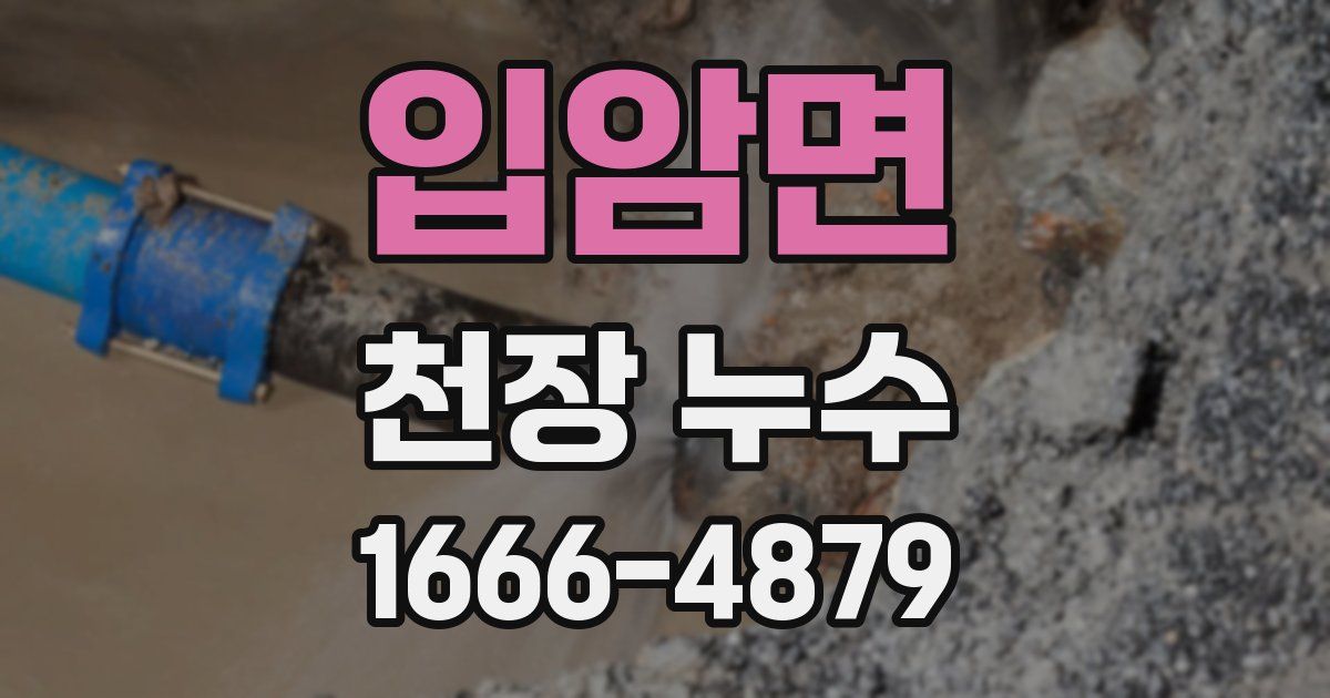 입암면 천장 누수