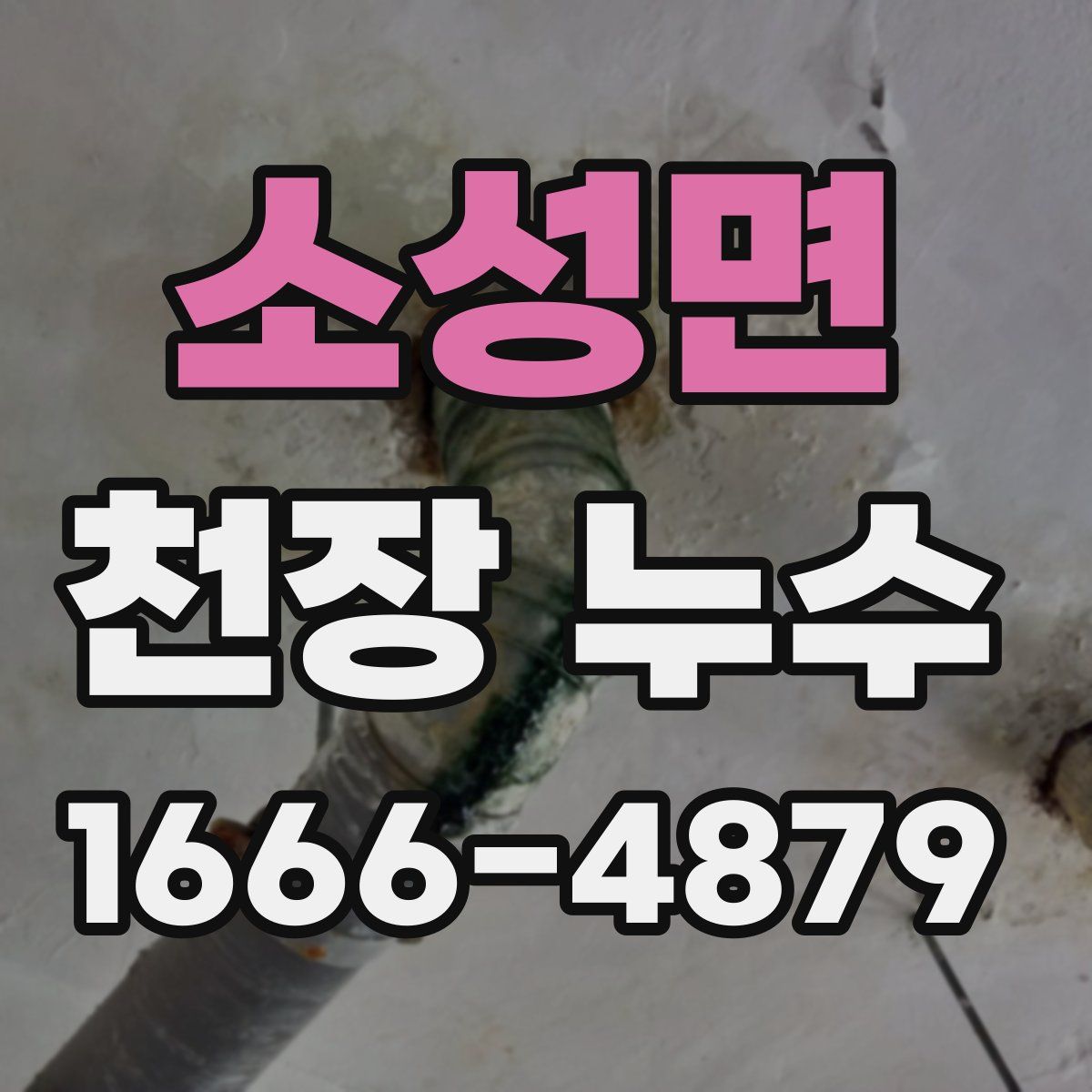 소성면 천장 누수