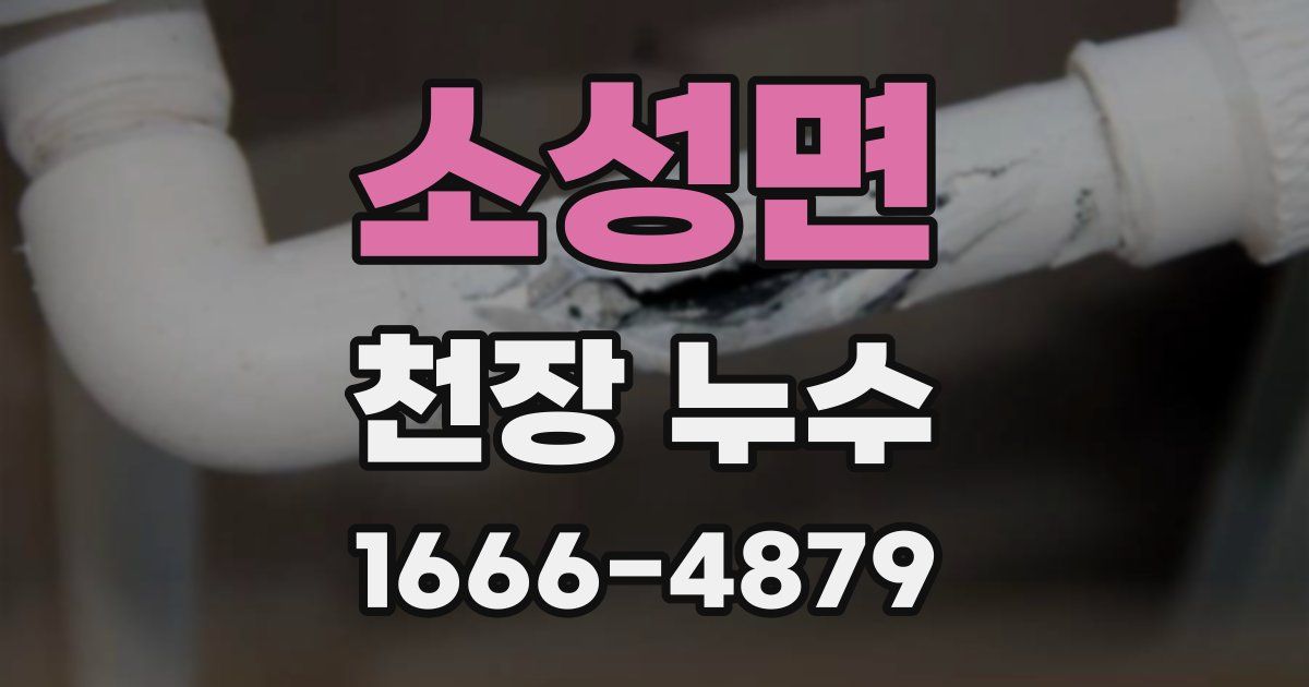 소성면 천장 누수