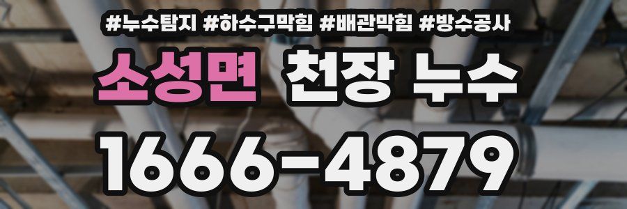 소성면 천장 누수