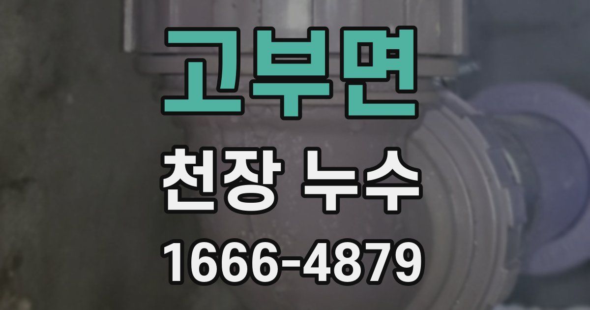 고부면 천장 누수