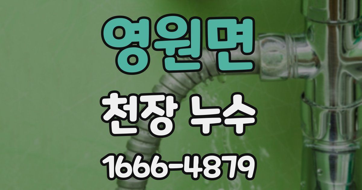 영원면 천장 누수