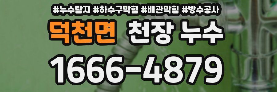 덕천면 천장 누수