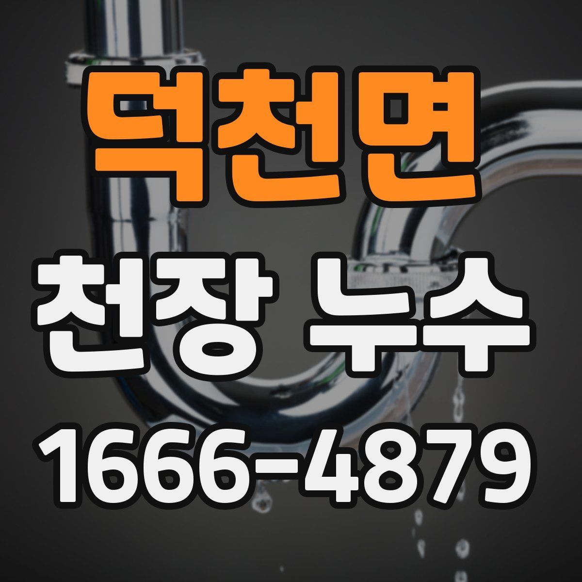 덕천면 천장 누수