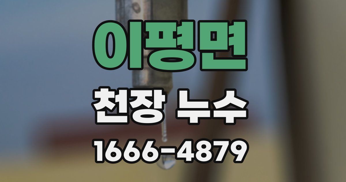 이평면 천장 누수