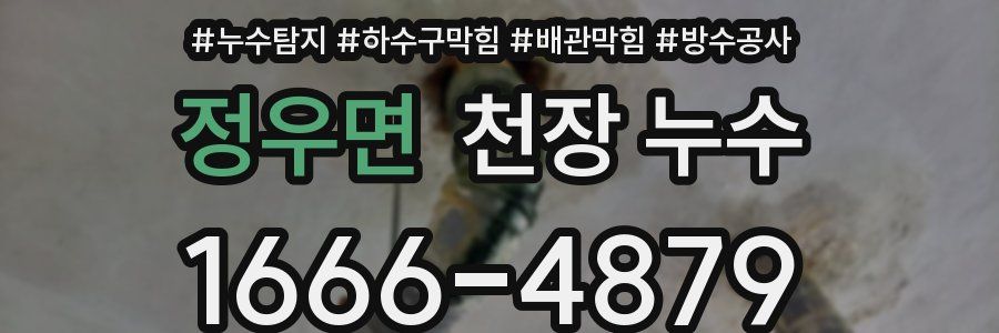 정우면 천장 누수