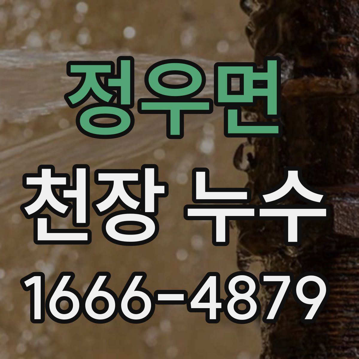 정우면 천장 누수