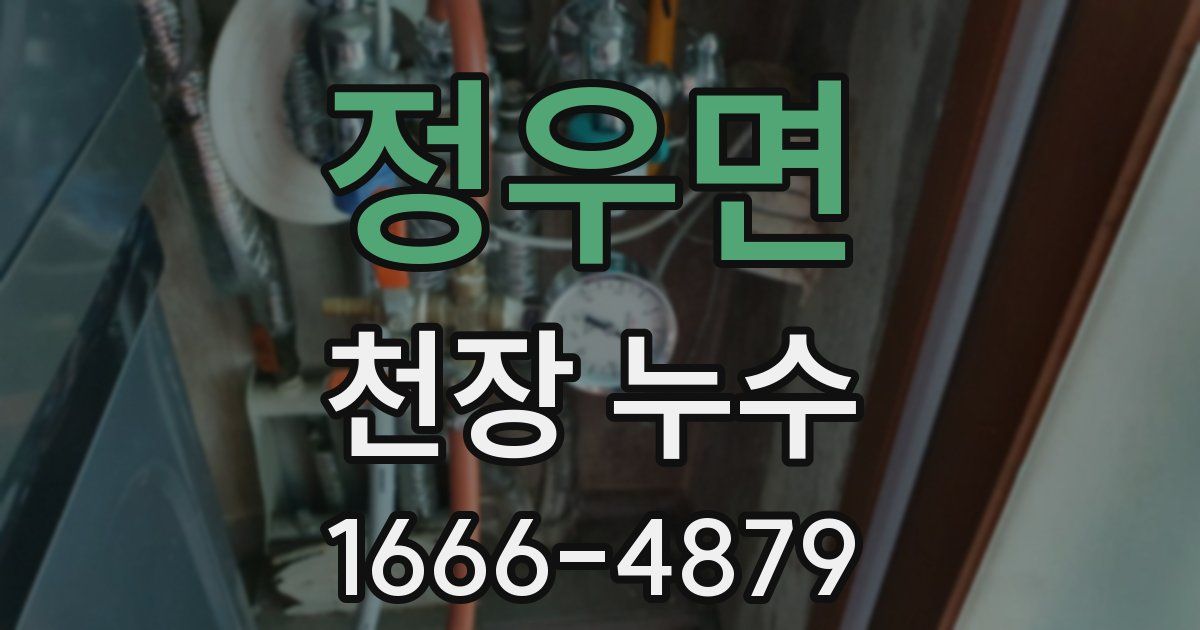 정우면 천장 누수
