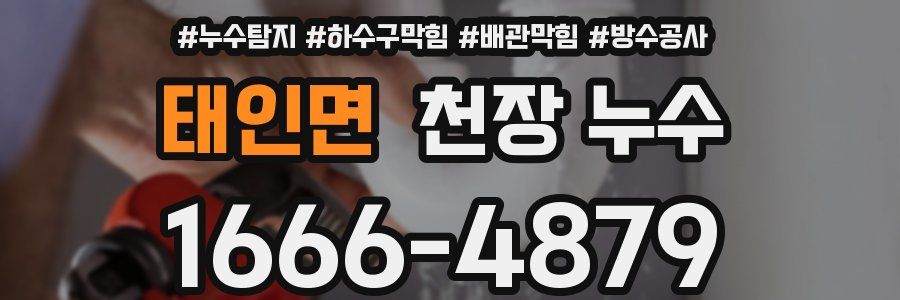 태인면 천장 누수