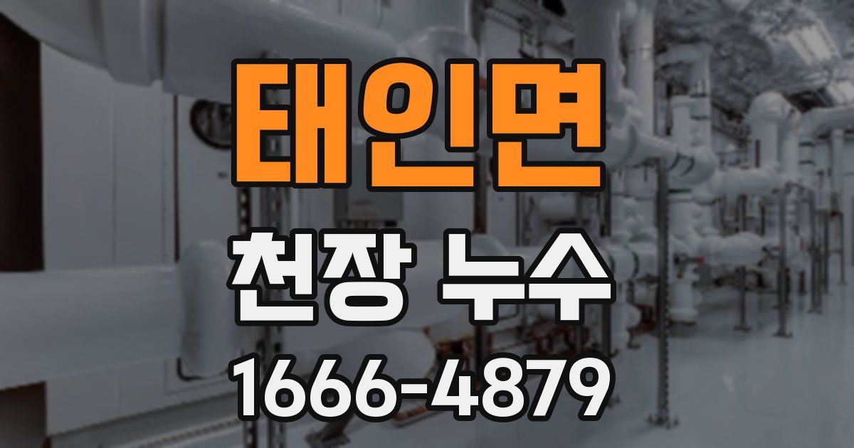태인면 천장 누수