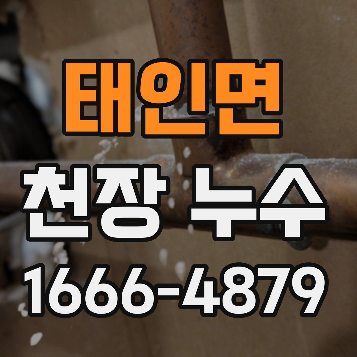 태인면 천장 누수