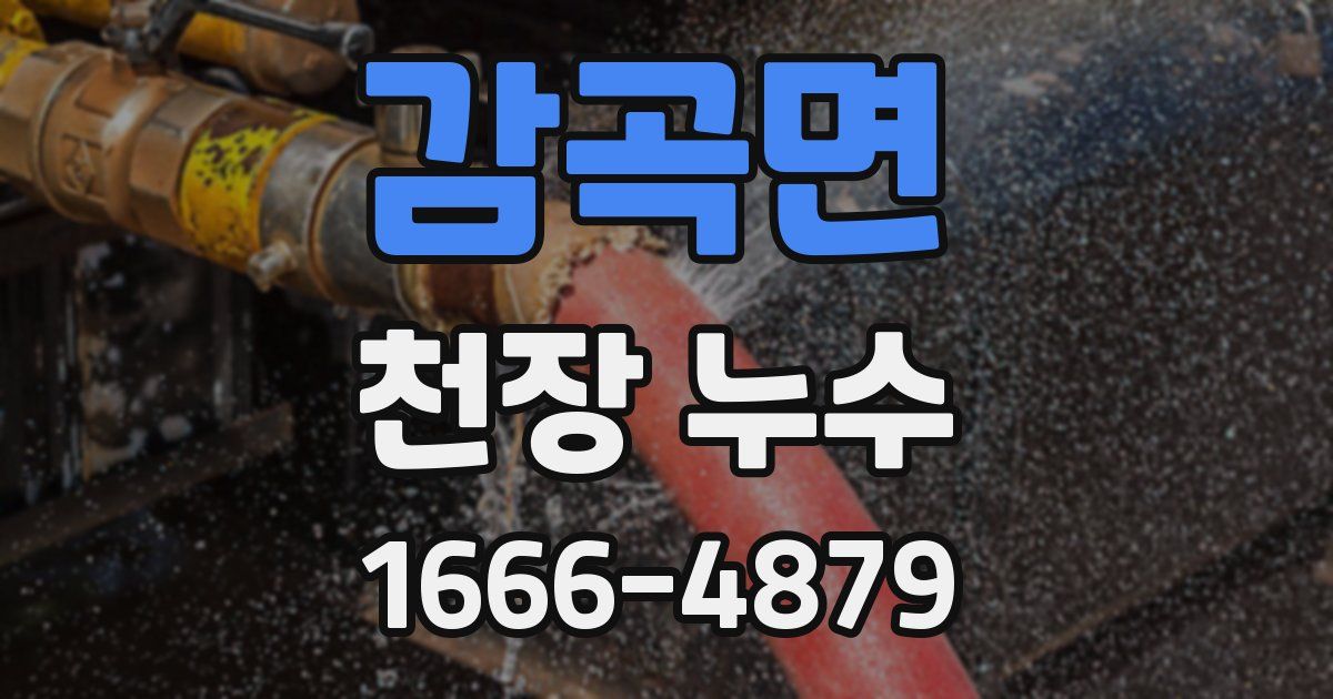 감곡면 천장 누수