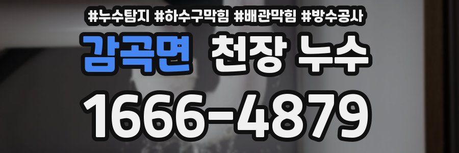 감곡면 천장 누수